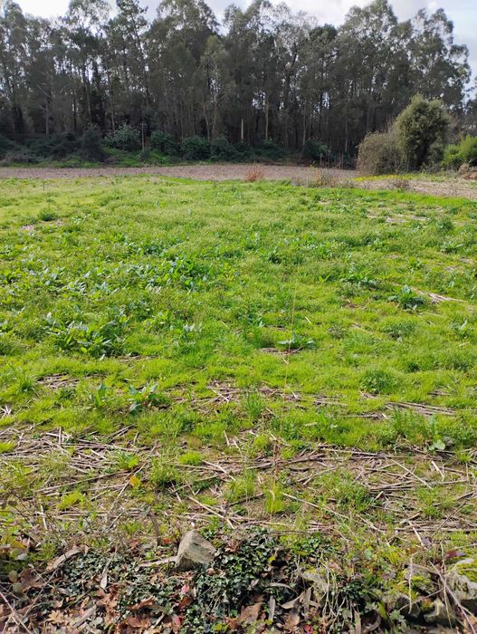 Vendo terreno urbano para construção de moradia a quatro frentes..