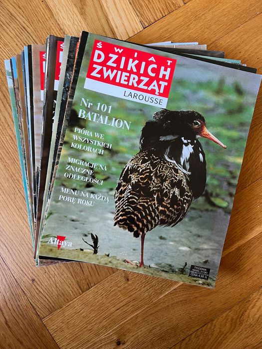 Świat dzikich zwierząt