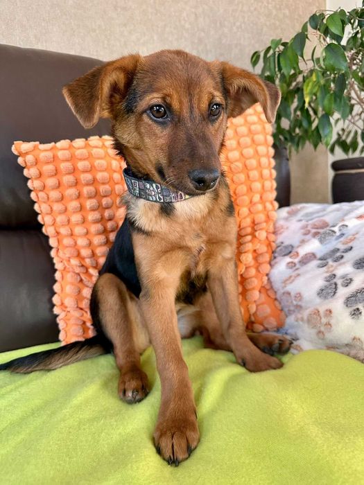 Urocza Zonia czeka na rodzinkę!