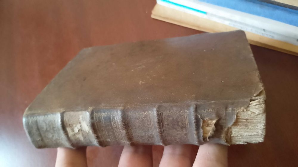 Idéa de hum Paroco instruído nas suas obrigações 1785