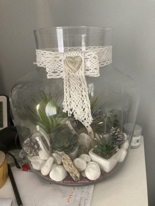 Roslinki w duzym szkle