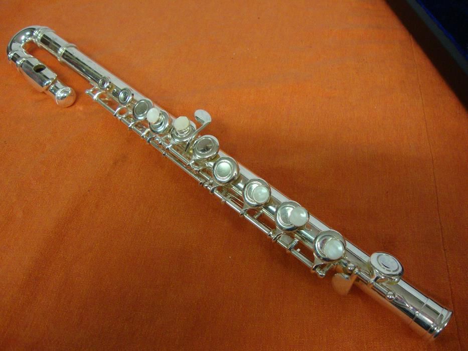 Transverse Flute, Subito.. No. 264175818772099122