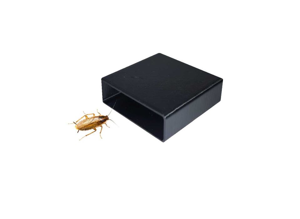 Кормушка ловушка от тараканов с гелем Адвион Advion Cockroach 5шт 2г