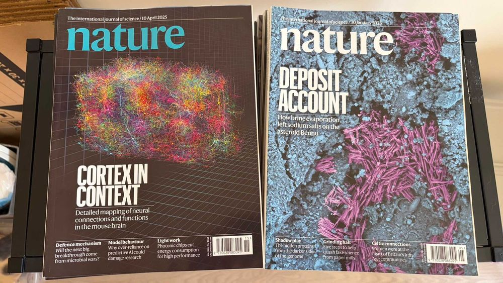 Revista Nature em inglês