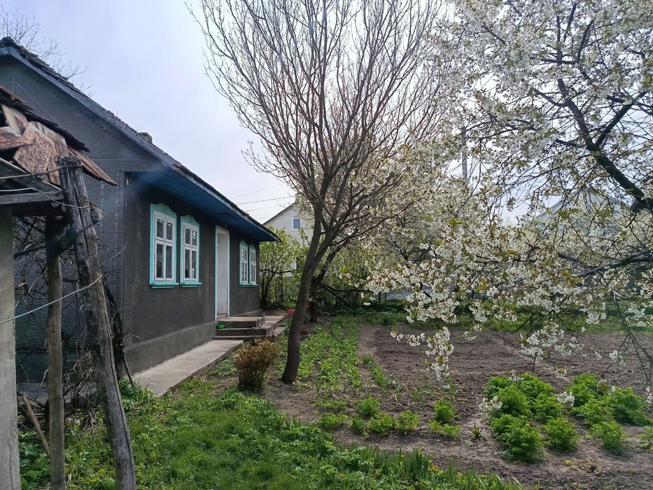 Продаж господарства у Чорнівці (14км до Чернівців)