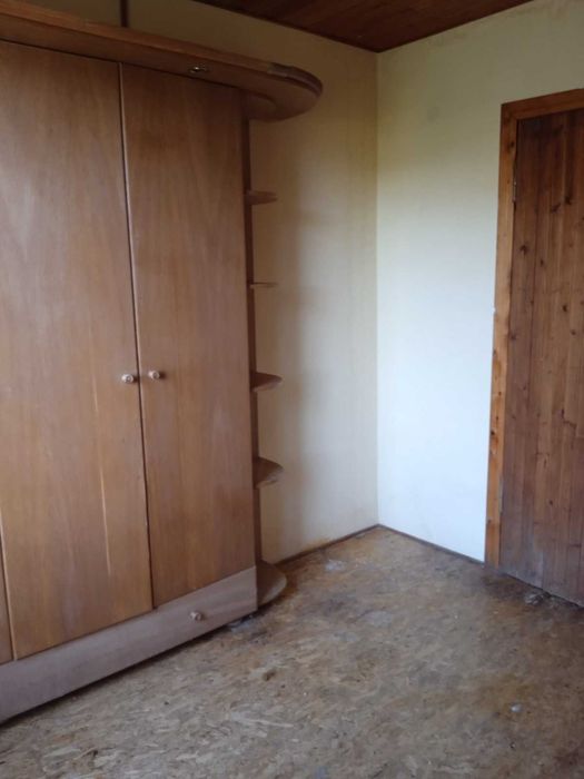 Перетримка котів в окремій кімнаті. Запис на лютий!