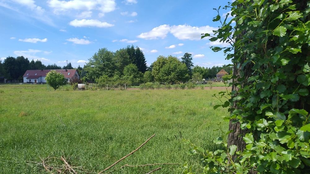 Działka budowlana w okolicy lasów