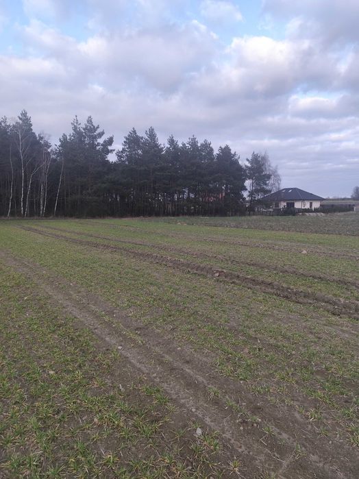 Działka Budowlana Szczutki