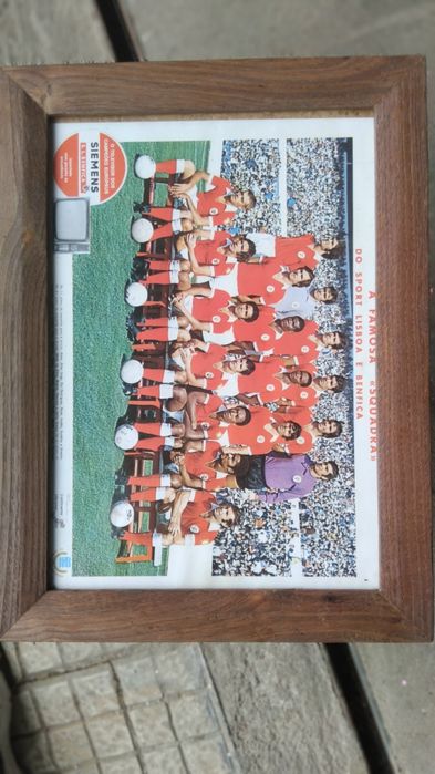 Quadro do Benfica 1982