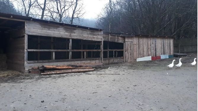 Приватне господарство с. Стіжок Тернопільська область