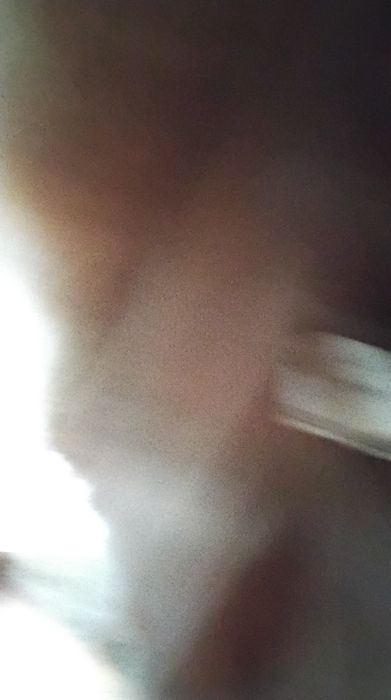 Casaco de pêlo verdadeiro