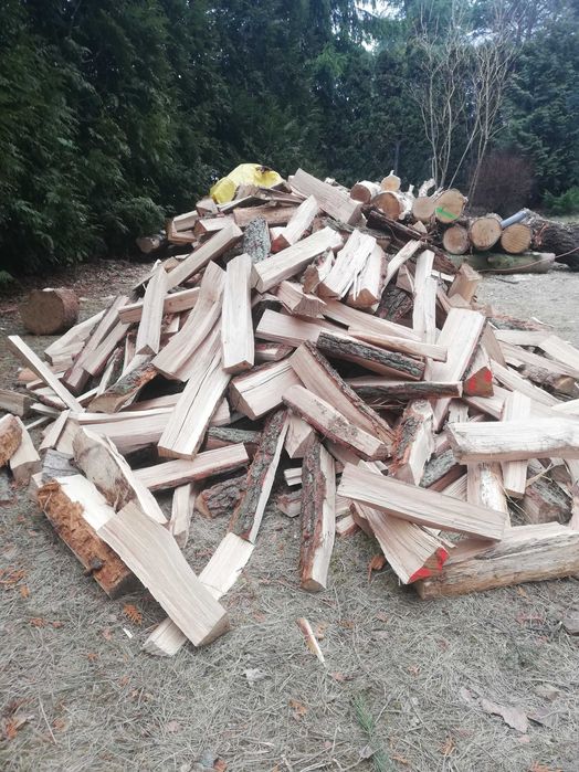 Drewno kominkowe liściaste