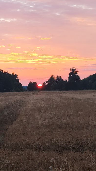 Działka budowlana na sprzedaż 7a - Widok 4