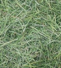 Siano z suszarni 4kg