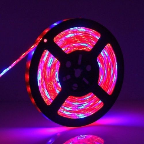 Taśma led dla wzrostu roślin GROW SMD 5050 WODOODPORNA!!! 5M