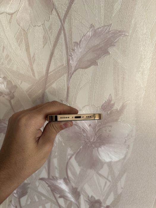 iPhone 12 Pro 256 GB