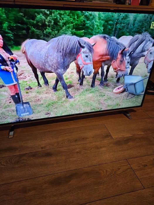 Telewizor TCL - 55 cali