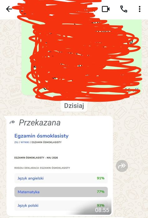 Korepetycje język polski, WOS