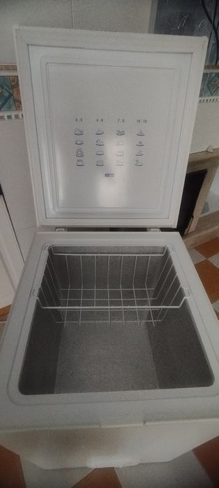Arca congeladora 100l