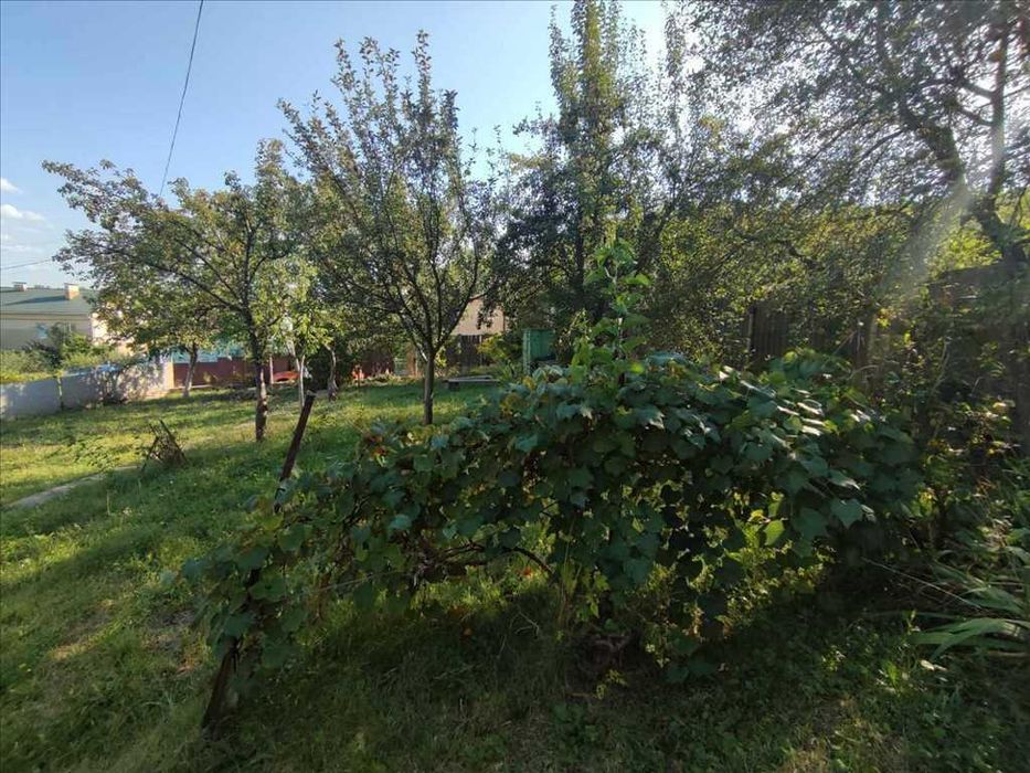 Чудова дача в Патлаївці!