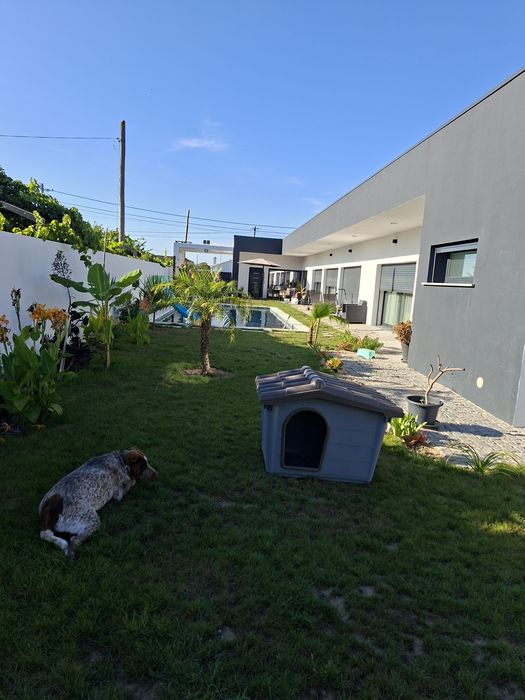 Casota para Cão praticamente nova!