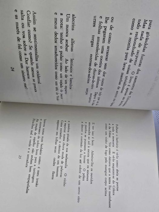 O Ressentimento Dum Ocidental - Alexandre Pinheiro Torres