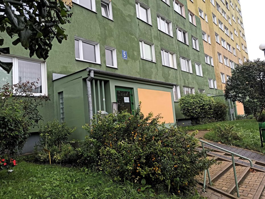 Zdjęcie 8