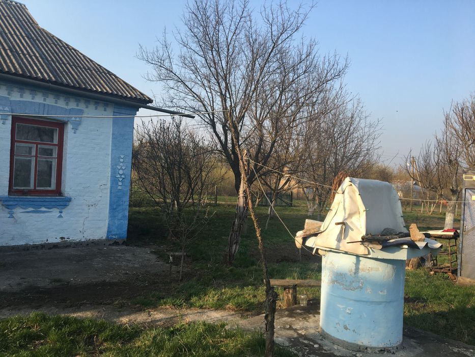 Будинок в черкаській області