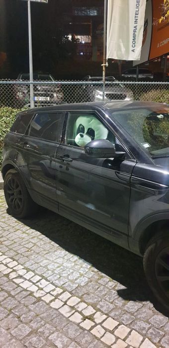 Panda ou Lobo para eventos