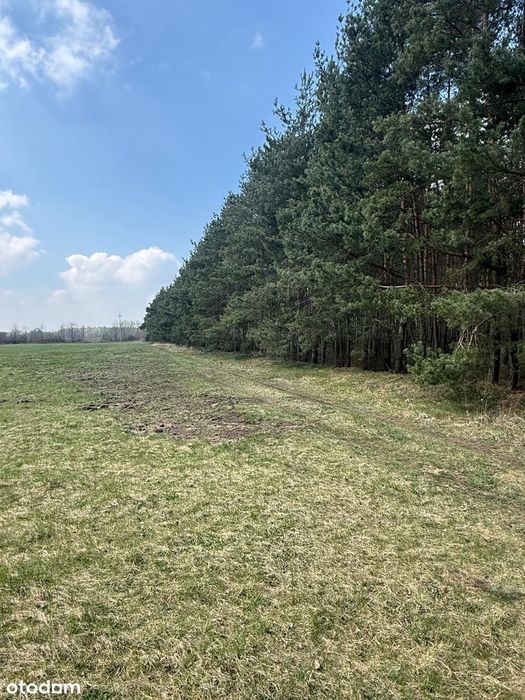 Zjawiskowa działka 1.34ha-możliwość zabudowy.