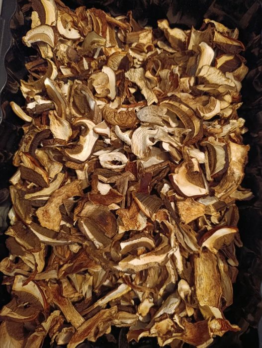 Sprzedam grzyby suszone