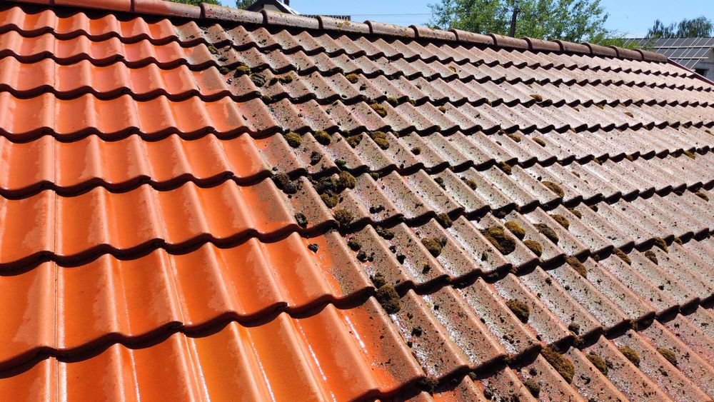 Mycie i malowanie dachów, mycie elewacji, kostki, paneli PV