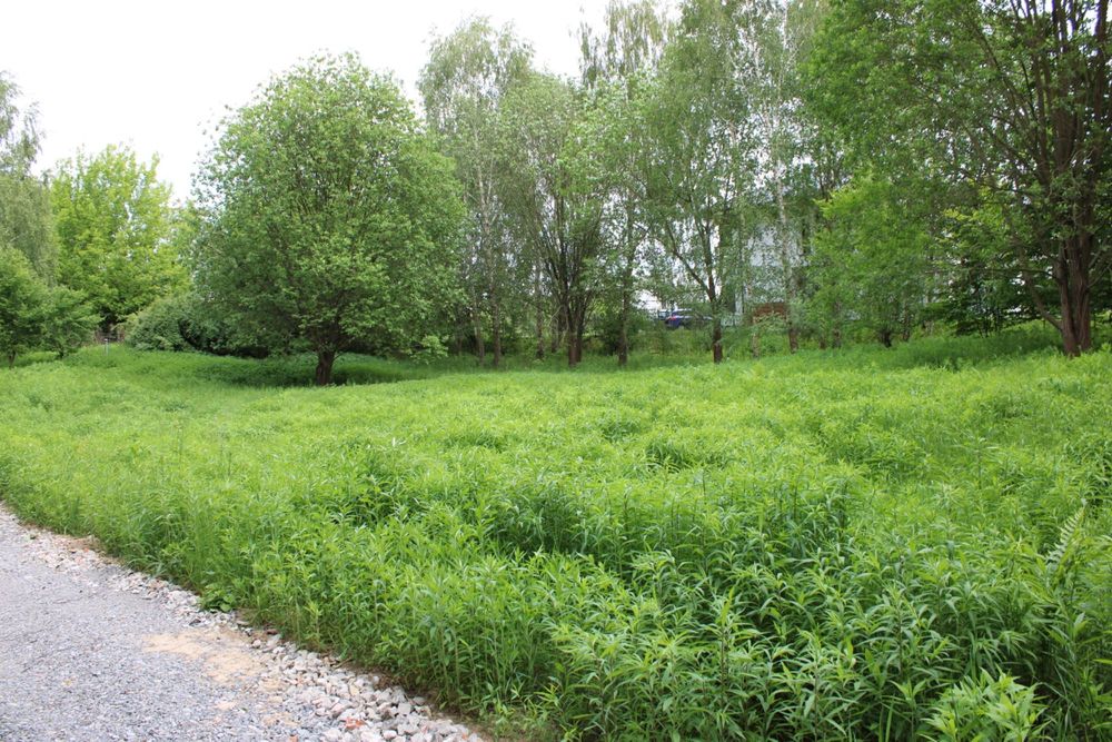 Działka budowlana 1200 m² przy lesie | Sławin | WZ | 34 m front | Bez pośredników – pohled 4