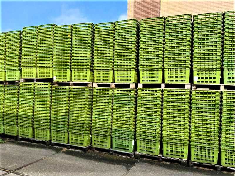 Pojemnik Skrzynka Plastikowa Kosz na Warzywa i Owoce Wytrzymała DUŻA