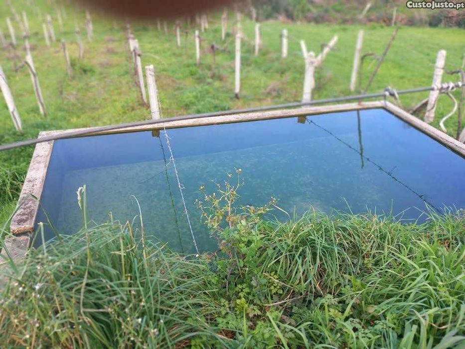 Terreno Agrícola com vinha