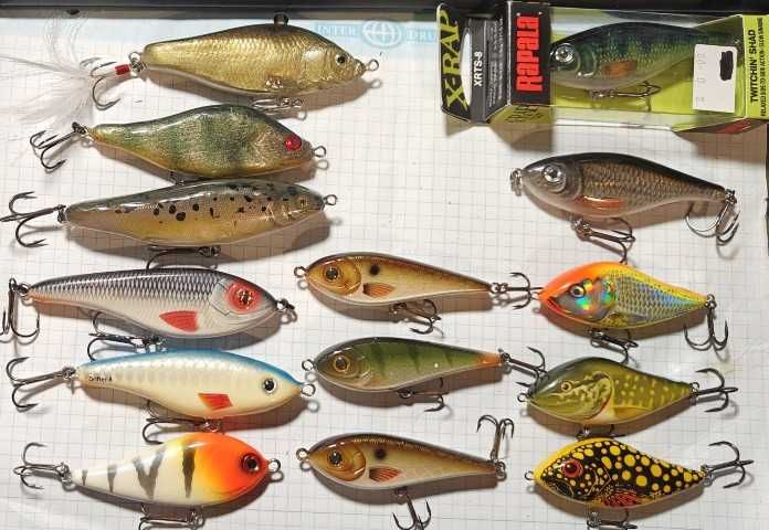 Jerki małe Salmo Strike Pro Buster, Dayer 8, Handmade, Rudi, Rapala