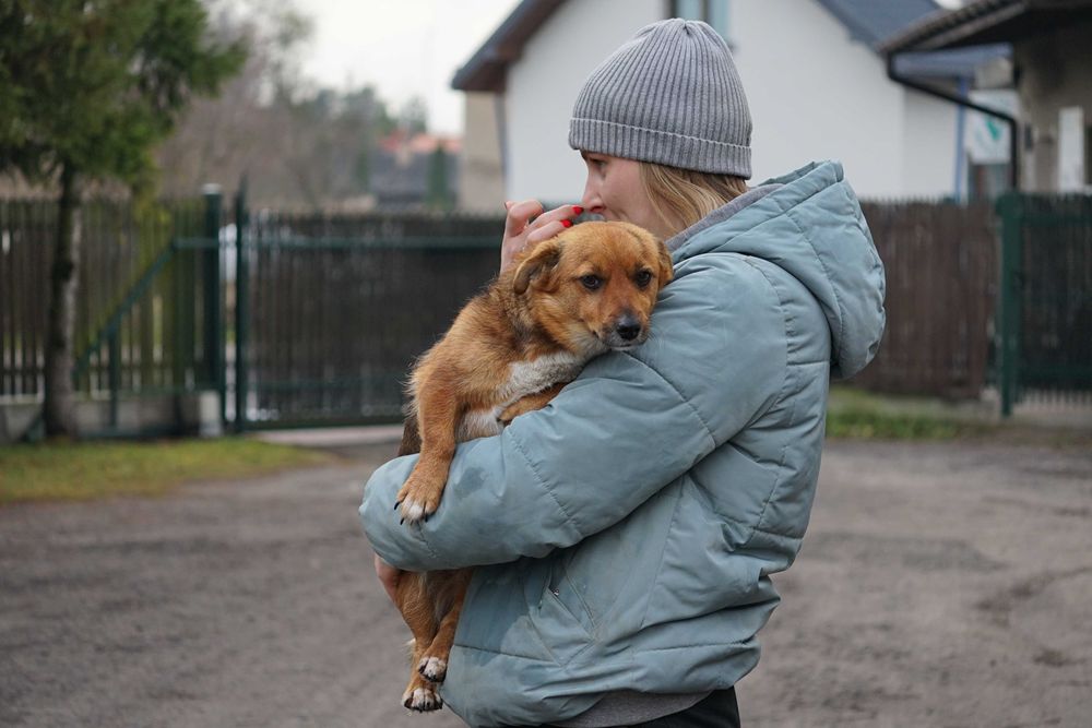 Blusia - mała, ruda sunia szuka domu