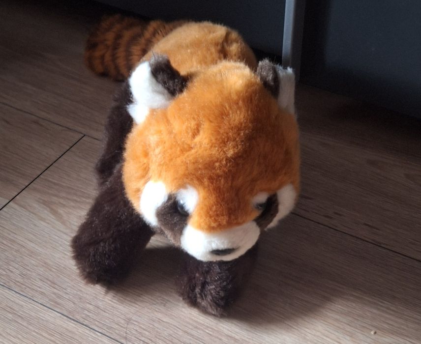 Maskotka Panda Mała