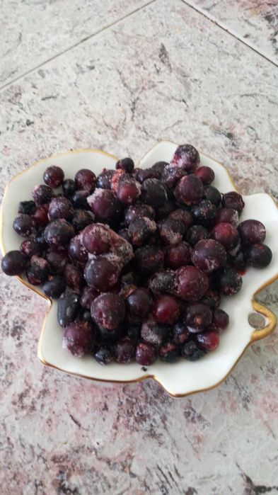 черная смородина. заморозка