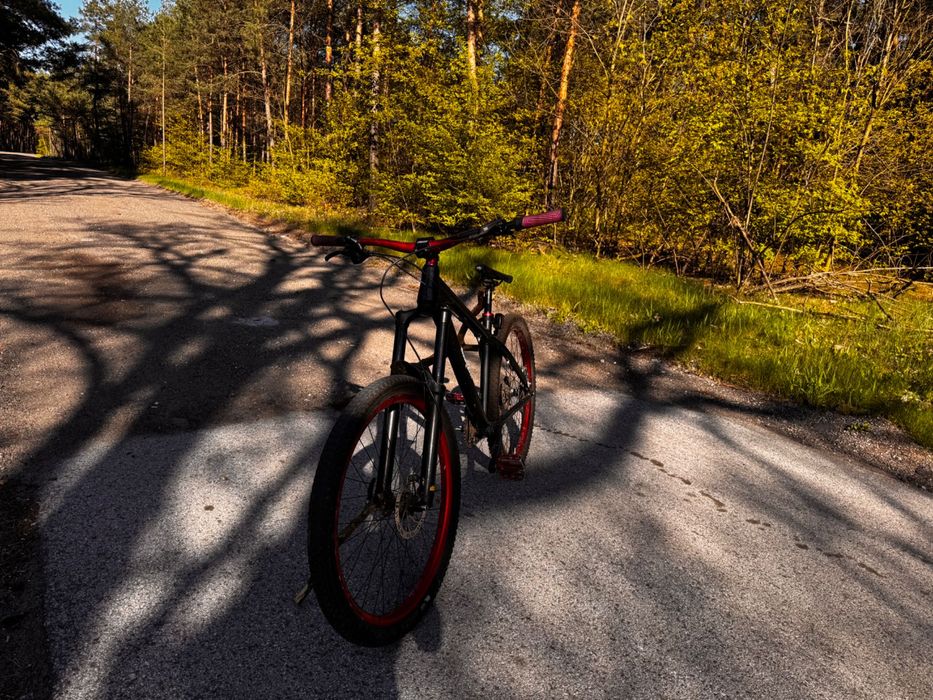 Dartmoor Hornet 2015