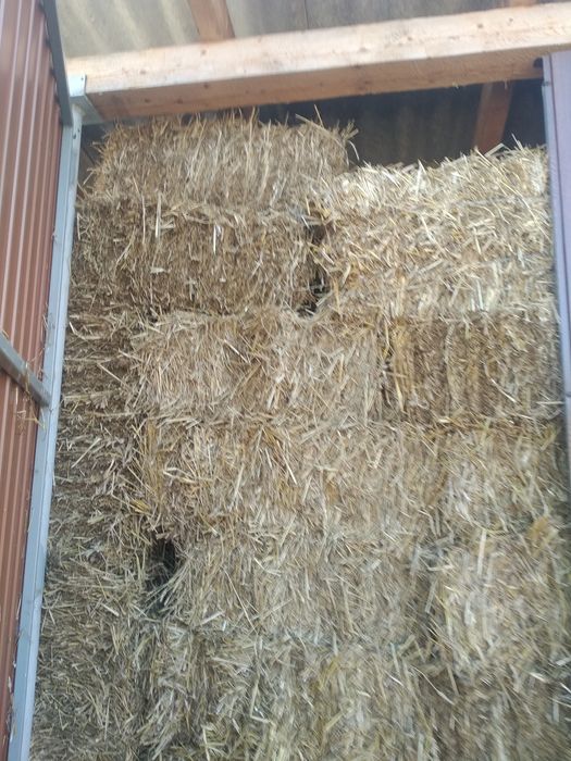 Продам тюки соломи