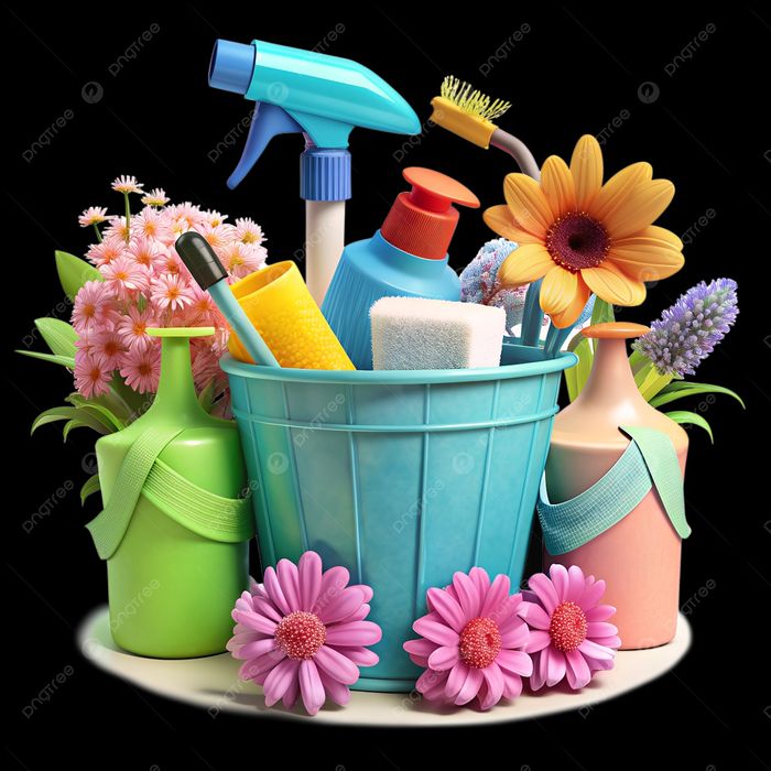 Serviços domésticos