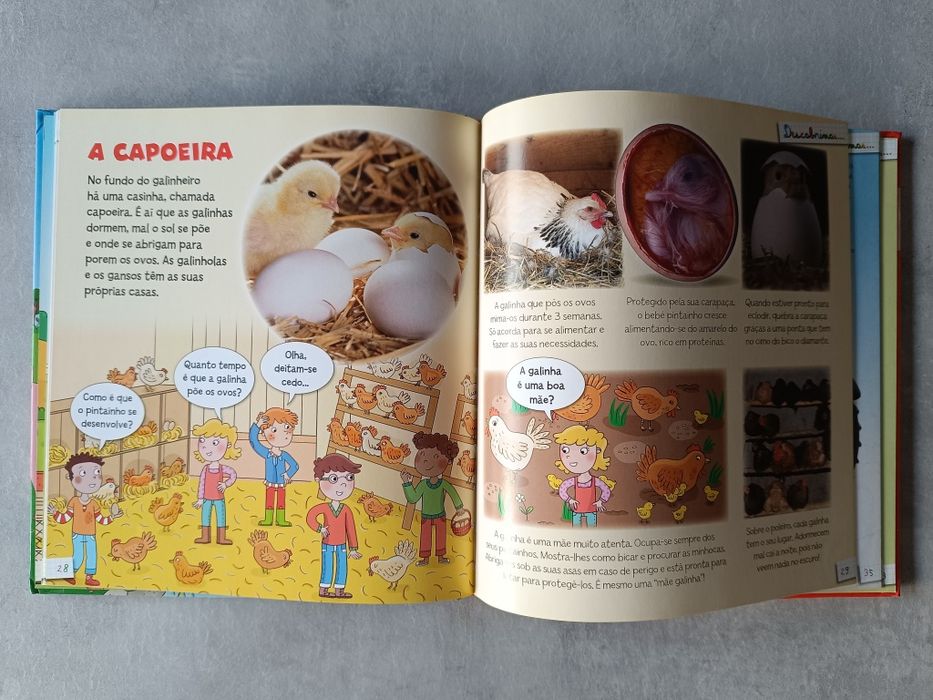 Livro descobrimos A Quinta