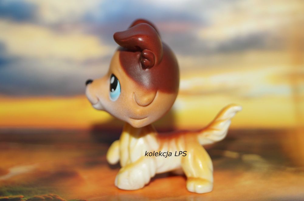 LPS Littlest Pet Shop collie #58 Sage oryginalny pop oryginał paw up