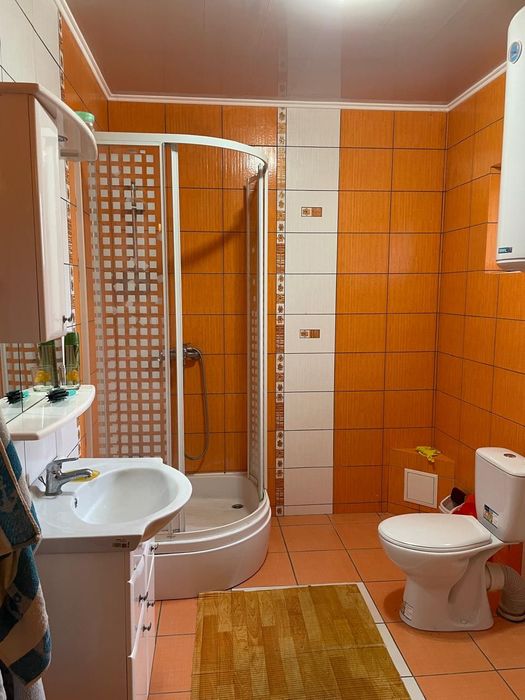 Продаж будинку 192 м2 в с. Шешори 11 сот. землі та гуцульський будинок