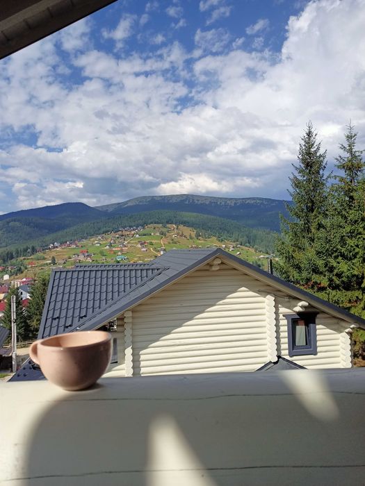 Дім / шале / котедж у Карпатах — Буковель | White Wood Cottages