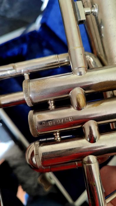 Fliscorne Amati Kraslice