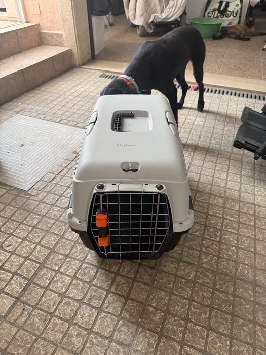 Transportadora cao ou gato