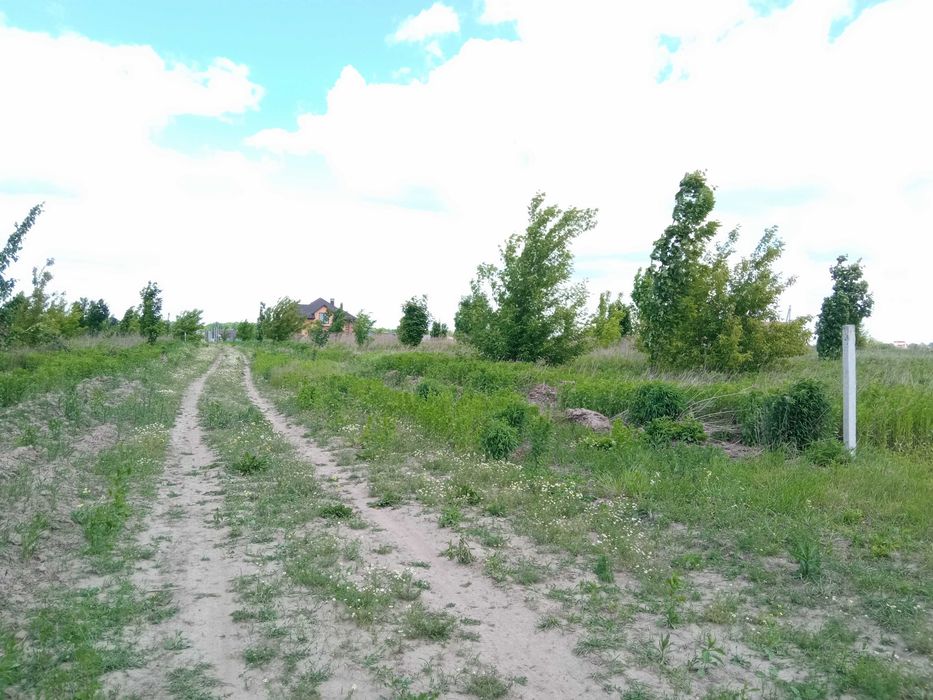 Ідеальне місце для вашого дому: 8 соток у Бохониках (Вінниця) за 20 000 $!