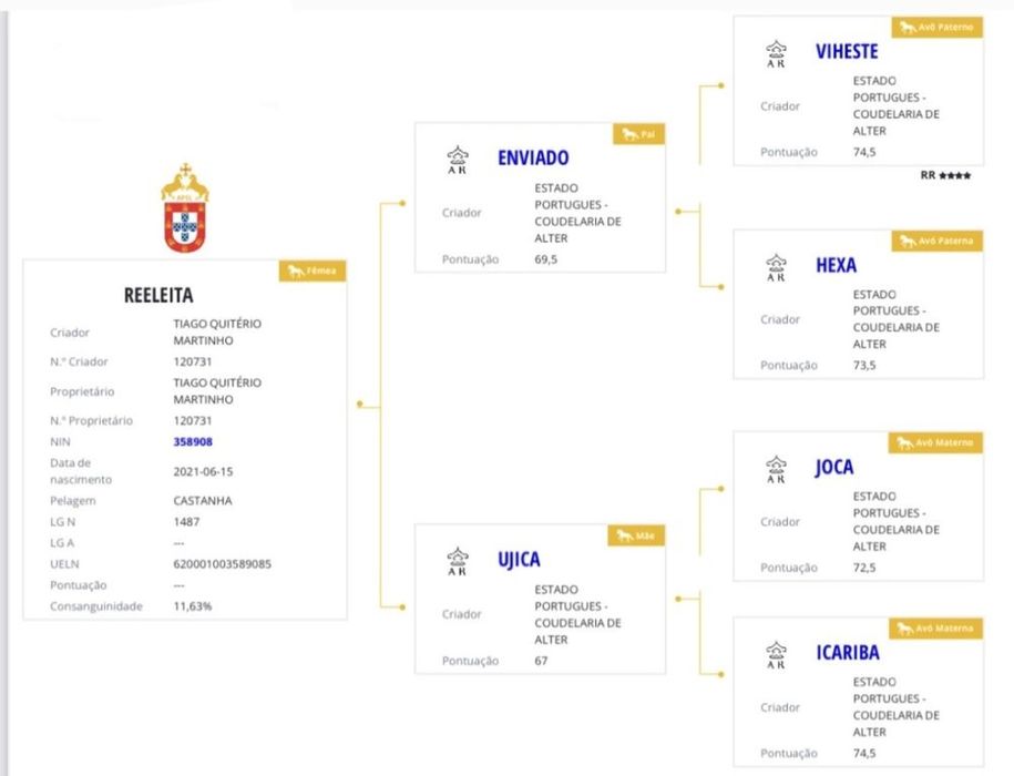 Egua letra R neta do viheste